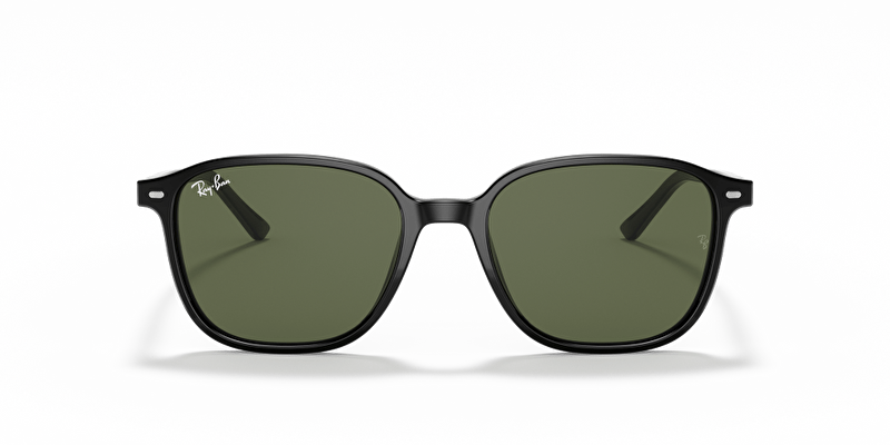 Ray-Ban RB2193 Leonard Güneş Gözlüğü