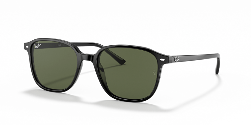 Ray-Ban RB2193 Leonard Güneş Gözlüğü